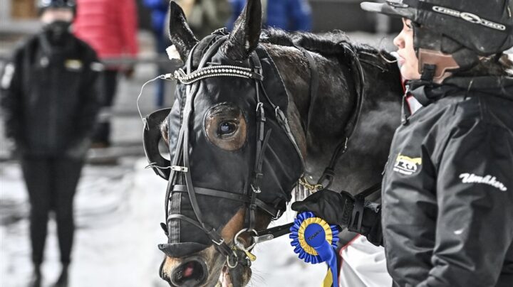 211225-umaker-selmer-i.h