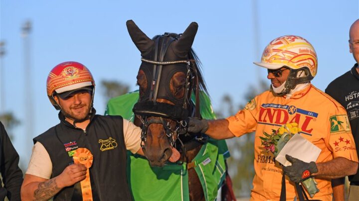 expo-wise-as-pris-79