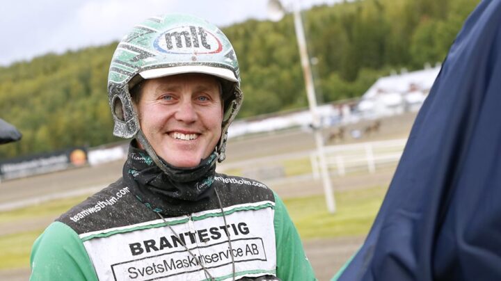 jargen-westholm-glad-