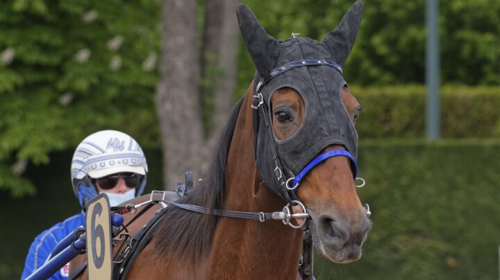 jll067120210519-1158480