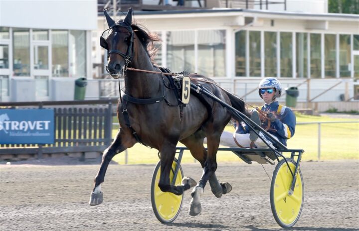 snowstorm-hanover-lj