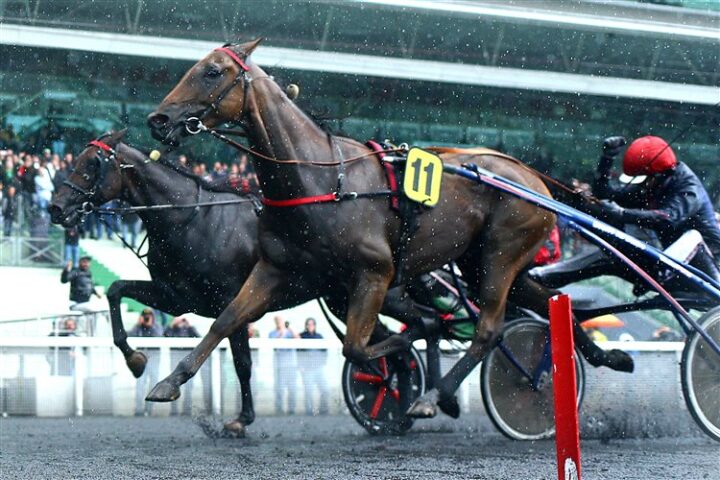aubrion-du-gers-1