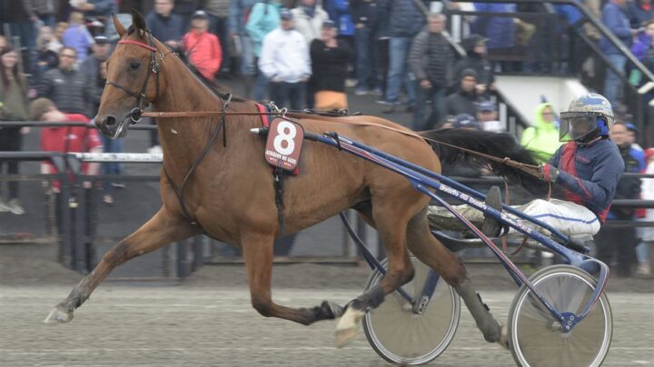 aubriondugersheat