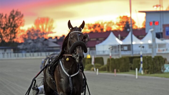 bay-view-pa-vag-mot-vinnarcirkeln