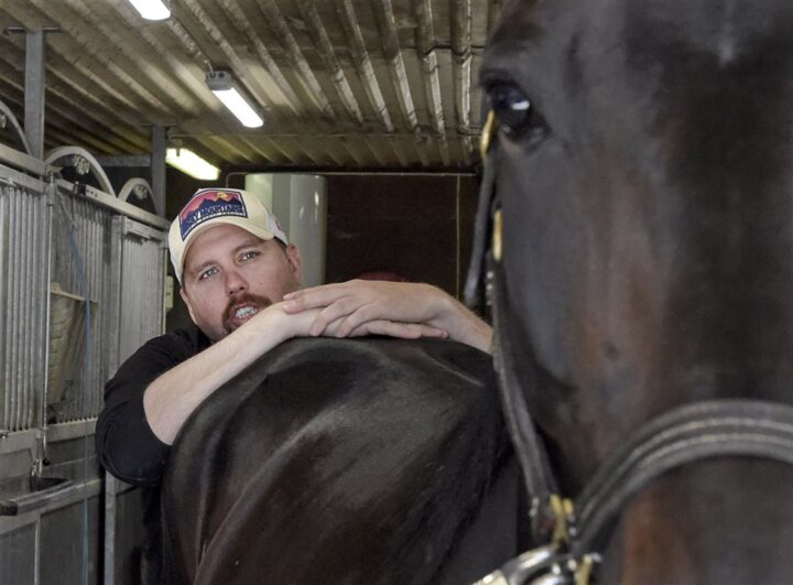 daniel-reden-och-don-fanucci-zet-i-stallet-2