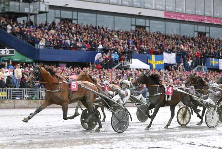 dijon-upploppet-i-elitloppsfinalen