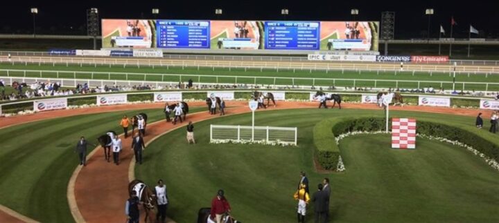 dubaiworldcup