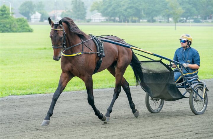 greenshoe-marcus-melander-01181