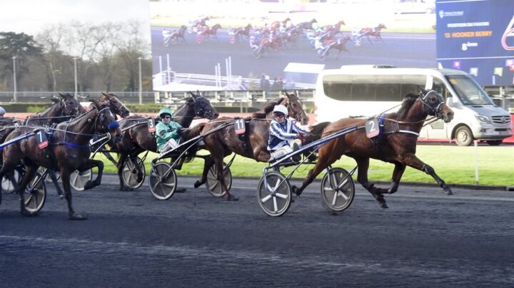 horsy-dream-mal-prix-de-belgique