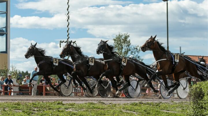 lopp7-midsommar