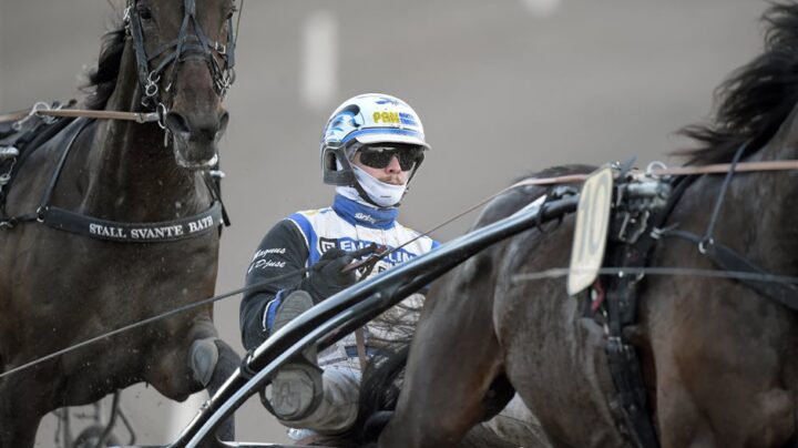 magnus-a-djuse-i-lopp