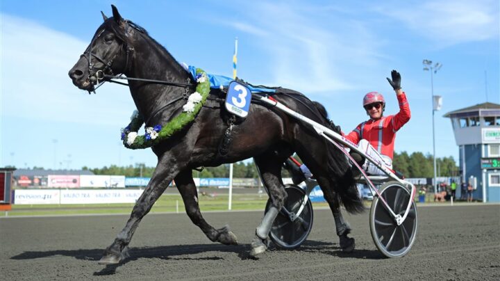 manlykke-a.m.-segerdefilering