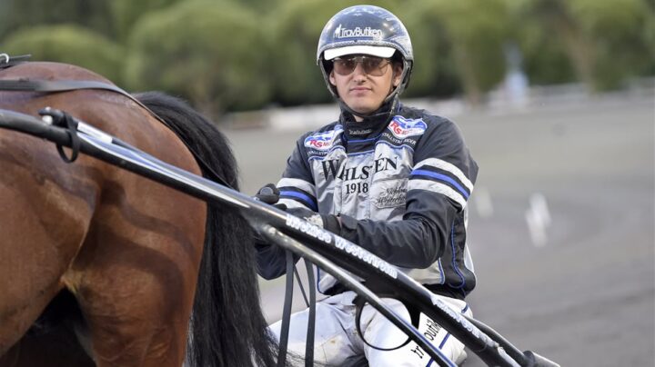 nicklas-westerholm-i-sulky