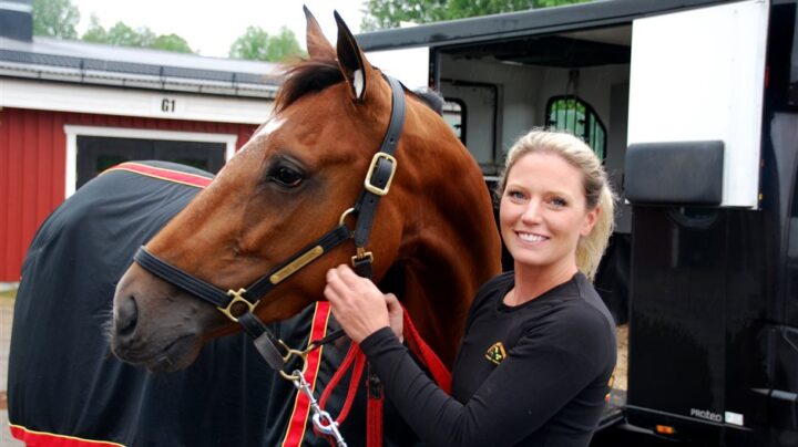 sofia-aronsson-och-anna-mix