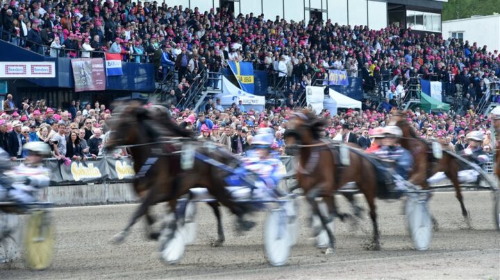 solvalla-elitloppet-kurv-vy-publik