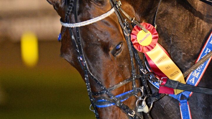 southwind-feji-huvud-654