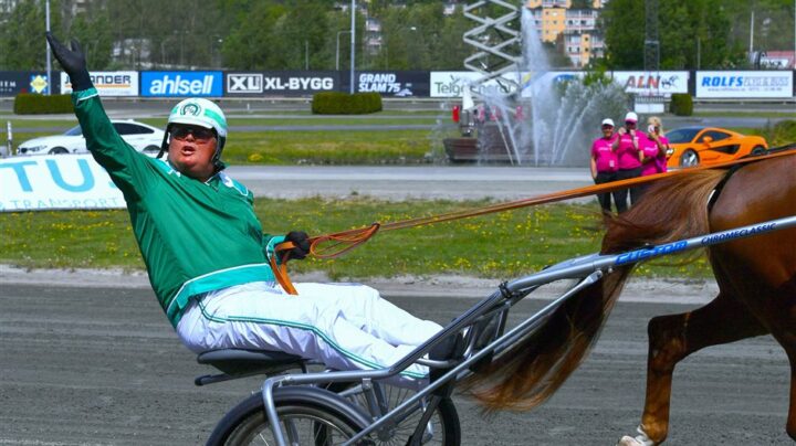 stefan-hultman-sulky