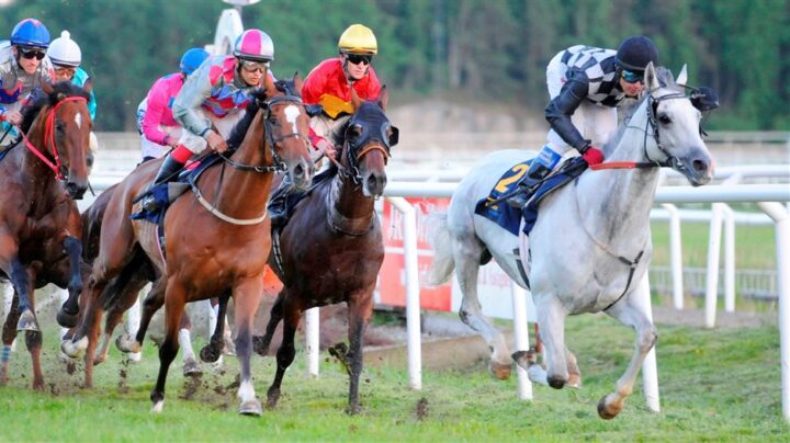 stockholms-stora-pris-berling-2013