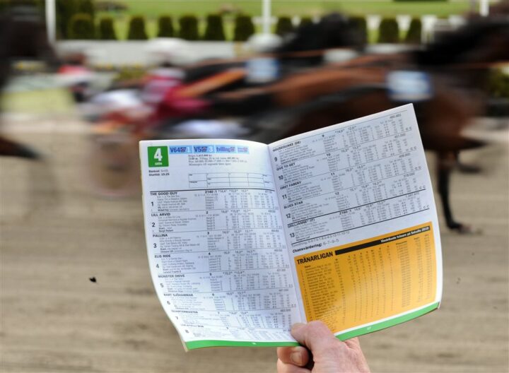trav-sport-spel-program