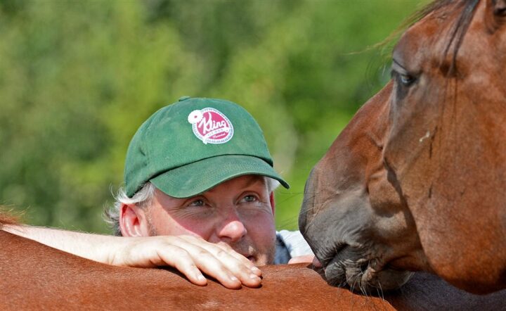 ulf-stenstromer-med-hastar