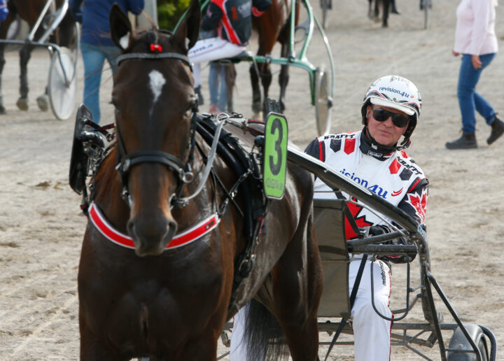Thomas Lönn i sulky -1.jpg