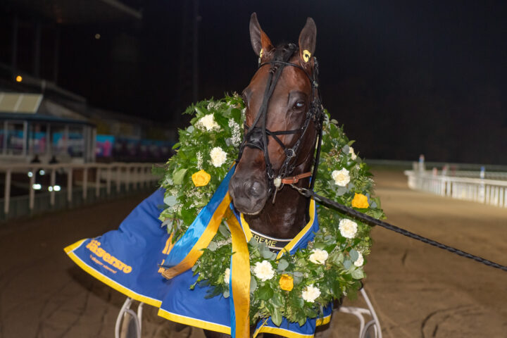 Extreme med krans.jpg