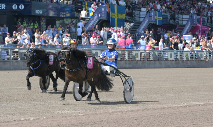 Euforia mål.jpg