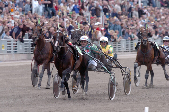 GIDDE PALEMA ELITLOPPET 2004 2.JPG