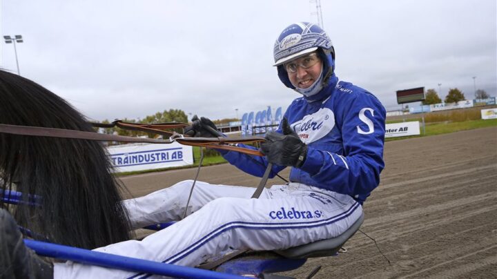 rikard20n20skoglund20sulky-mh