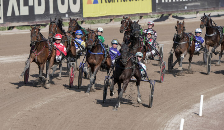 Solvalla kurv framifrån Smile Silvio och Peter Untersteiner vin