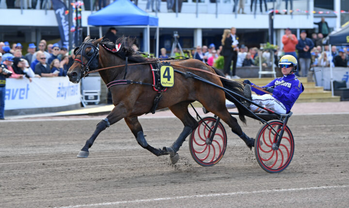 Fly Equos Jet mål 6587 (1).jpg