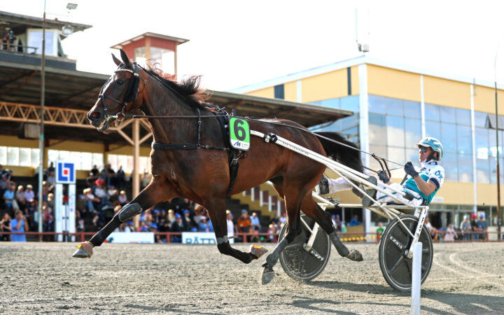 Olly Håleryd mål.jpg