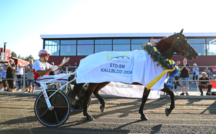 Stjärnblomster segerdefilering.jpg