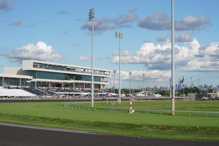 The Meadowlands kurv vy  -01899.jpg