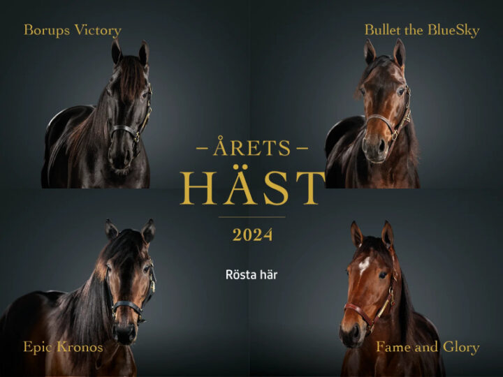 hastgalan-2025-atg-se-800×600-mobil-position-2