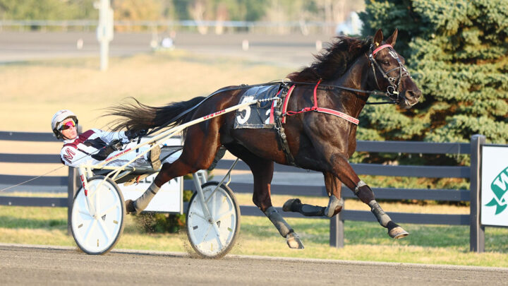 1120-logan-park-foto-new-image-media