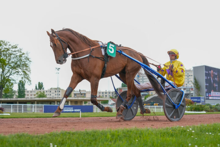 Hooker Berry Eric Raffin -9041.jpg