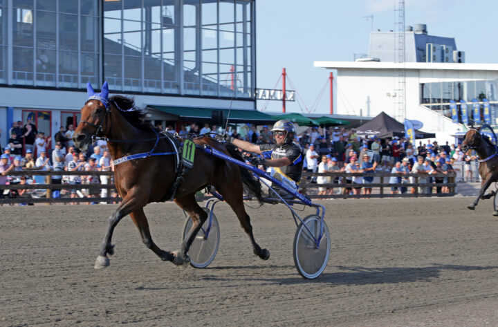 A Fair Day mål2.JPG