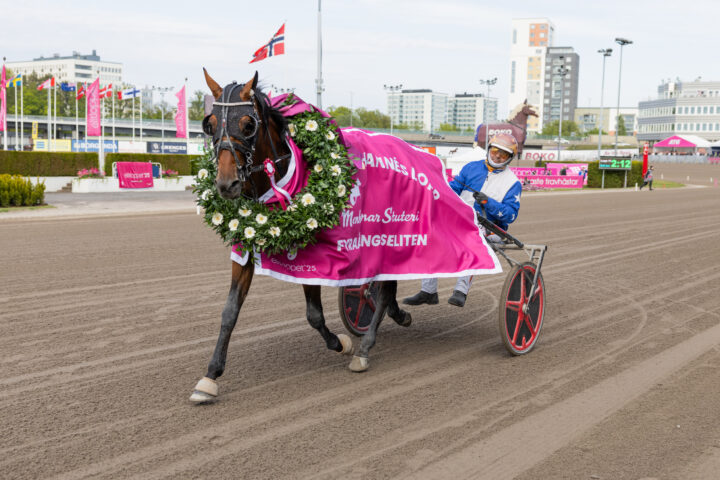 FREE TIME JEPSON segerdefilering.jpg