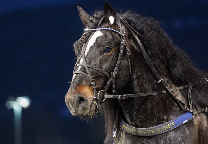 Oppgårdsdrängen huvud.jpg