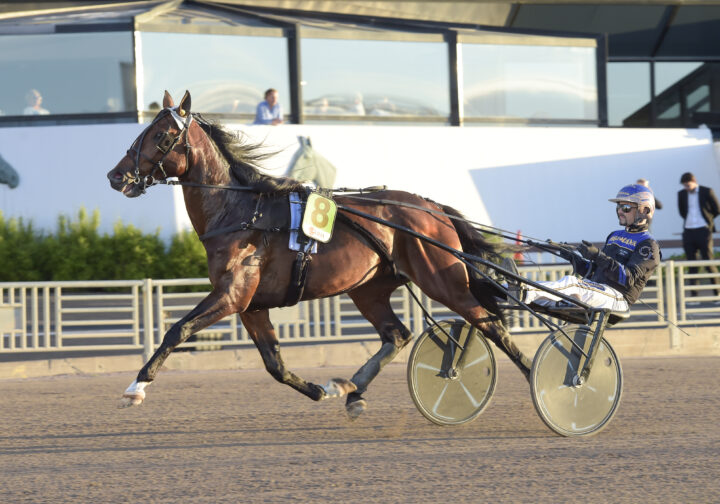 Stepping Dreamboy 2.JPG