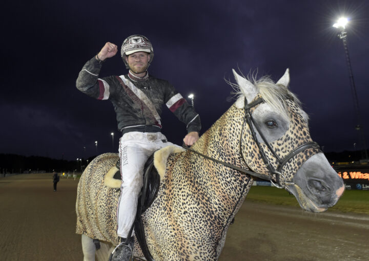 Adrian Kolgjini gör segergest på leopardhäst.jpg