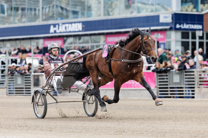 FRANCESCO ZET värmning-3.jpg