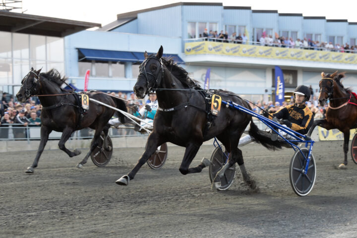 GIO CASH mål NY.jpg