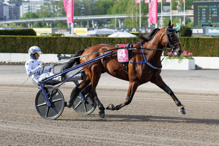 GO ON BOY heat final-2.jpg