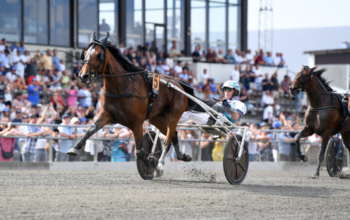 La Yuca mål 473 (2).jpg