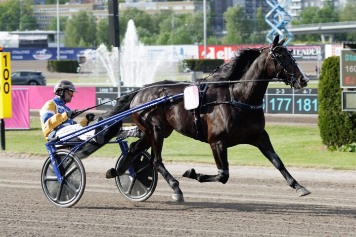 MELLBY JINX heat-4.jpg