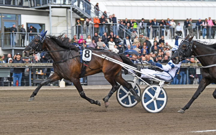 Panthere d Inverne mål 27 (1).jpg