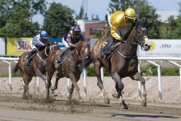 Jägersro 250618Foto: Stefan Olsson / Svensk Galopp