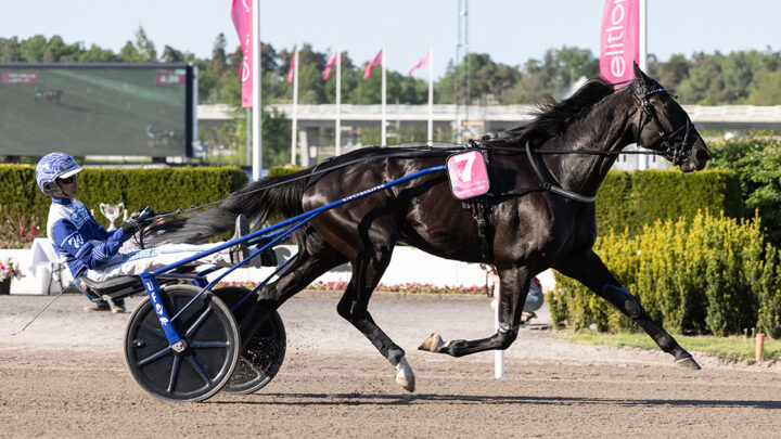 1120-borups-victory-le